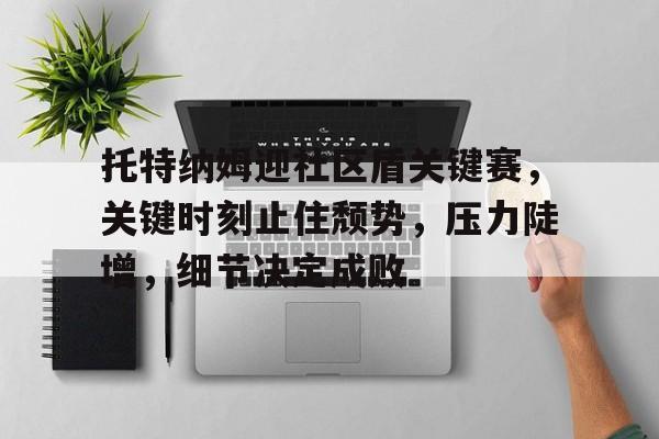 开云体育-关于托特纳姆迎社区盾关键赛，关键时刻止住颓势，压力陡增，细节决定成败的信息